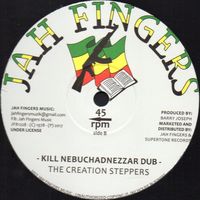 12" Vinyl Reggae Hit