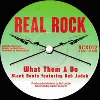7" Vinyl Reggae Hit