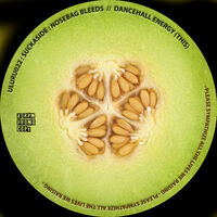 7" Vinyl Dancehall Hit