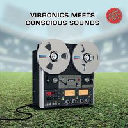 Scoops - Uk Sandeeno - Vibronics - Conscious Sounds Blaze A Fire - Blaze A Dub Version - Hail Up - Dub Up X Uk Dub 10" rv-10p-01386