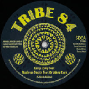 Tribe 84 - Uk Brother Dan - Nucleus Roots Lamp To My Feet X Reggae Hit 10" rv-10p-01550