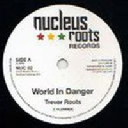Nucleus Roots - Uk Trevor Roots World is in Danger - Version X Reggae Hit 7" rv-7p-11284