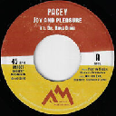 Ancient Mountain - Eu Pacey - Dr Ring Ding Joy And Pleasure - Joy Dub X Reggae Hit 7" rv-7p-15067