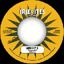 irie ites - Fr Anthony B - Brother Culture Raggamuffin - Build Up A House Asap Reggae Hit 7" rv-7p-16570