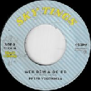 Sky Tings - Fr Peter Youthman Weh Dem A Go Do - Do The Dub X Reggae Hit 7" rv-7p-17182