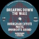 immiroots - Eu Hornsman Coyote - immiroots - Dougie Conscious Breaking Down The Wall - Dub The Wall X Uk Dub 7" rv-7p-17281