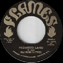 Flames - 333 - Uk Nairobi Sisters Promised Land - Dub X Oldies Classic 7" rv-7p-17352