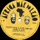 Africa Mae Do Leao - Br Shades Of Black Promised Land - Dub X Uk Dub 7" rv-7p-17466