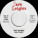 Park Heights - Digikiller - Us Errol Dunkley Want No More - Version X Early Digital 7" rv-7p-17528