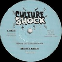 Culture Shock - Ca Shayne Amani - The Dub Chronicles Where Has The Love Gone - Version X Reggae Hit 7" rv-7p-17595