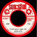 Sunshot - Common Ground - Uk Dennis Brown What About The Half - Version X Oldies Classic 7" rv-7p-17784