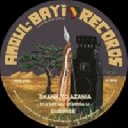 Amoul Bayi - Fr Saah Karim - Sta Sax - Rootical 45 Gunman Sound - Skank To Azania X Reggae Hit 12" rv-12p-01385