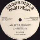 incredible Music - Jah Fingers - Uk Junior Delgado Ark Of The Covenant - Cry Of Destitute X Reggae Hit 12" rv-12p-01761