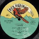 Red Robin - Nz Midnight Riders - Speng Bond - Steve Knight - Tippa Lee - Naram Outta Road - Dem A Fraud X Reggae Hit 12" rv-12p-01818