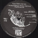 Stepwise - Eu Jone C Fyah - The Black Oak Roots All Stars - isayah Love Word - Flute Words - inna Di End - Love Word Riddim X Reggae Hit 12" rv-12p-01878