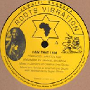 Roots Vibration - Eu Jamaiel Shabaka i Am That i Am - Dub Version X Early Digital 12" rv-12p-01955