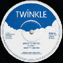 Twinkle - Uk Stiffy Dread Jah Dreadful - Dreadful Dub X Oldies Classic 12" rv-12p-02499