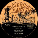 Blackboard Jungle - Fr Benjammin - Barbara Naps - Spring Wata - Jata - Rockdis Continuous Creation - Prophecy Ah Reveal X Reggae Hit 12" rv-12p-03161