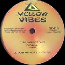 Mellow Vibes - Uk Di Namic - Vivian Jones Hungry Song - 30 Second Selector X Reggae Hit 12" rv-12p-03281