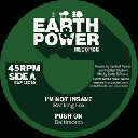 Earth And Power - Fr Ranking Fox - Baltimores - Earth And Power - Radikal Wizdom i Am Not insane - Push On X Uk Dub 12" rv-12p-03658