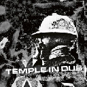 Tetra Ark - Eu Nga Han - Roots Unity Players Temple in Dub X Artist Album LP rv-lp-02177